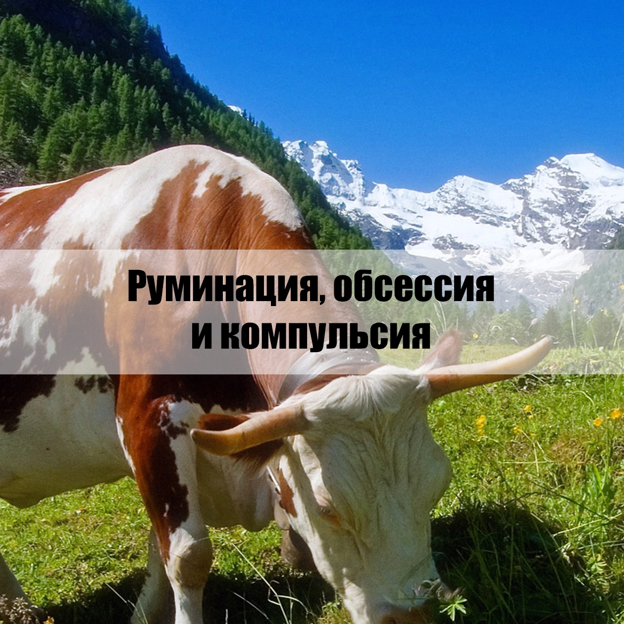Руминация, обсессия и компульсия
